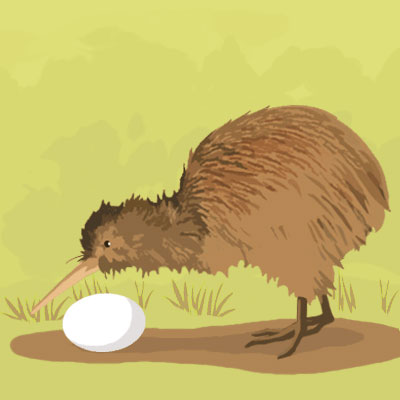  New Zealand 
